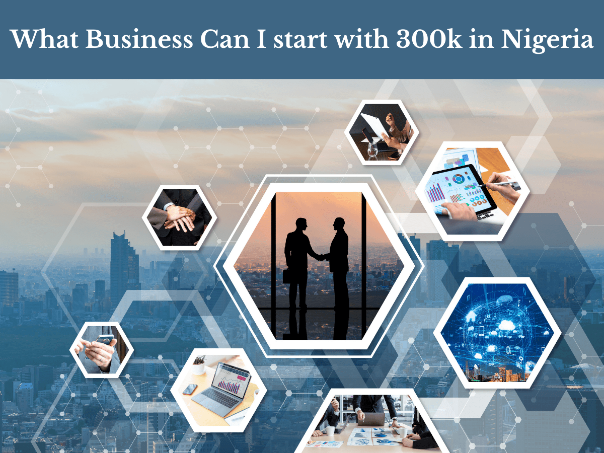 What business can I start with 300K in Nigeria?